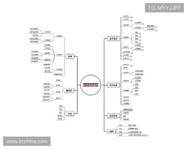 乒乓球技术与战略全解析：从基础技巧到高级战术的全面提升之路